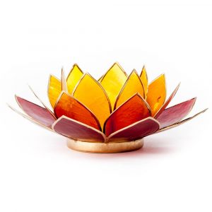 Lotus Atmospheric Light Gold Edge Three-coloured