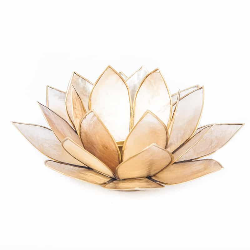 Lotus Atmospheric Light Smoked Gold Edge