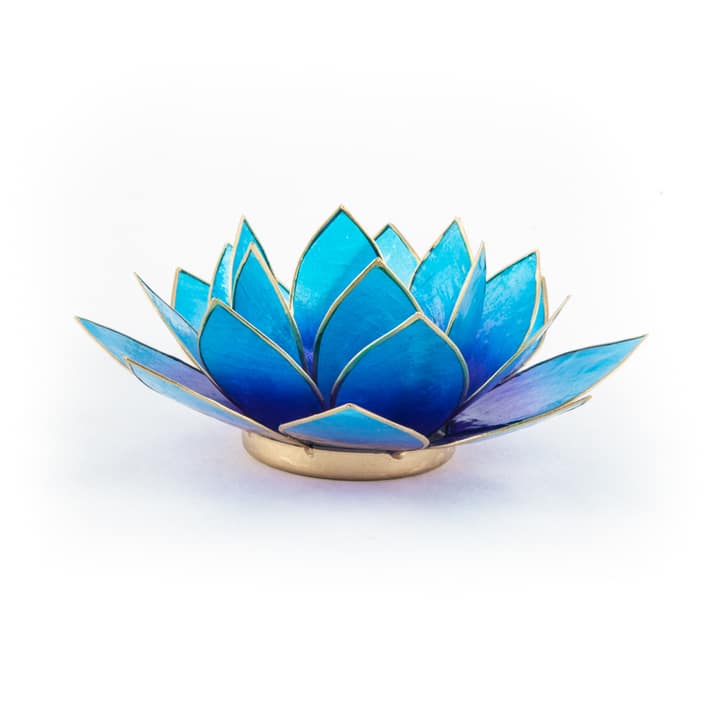 Lotus Atmospheric Light Violet-Blue Two-colour