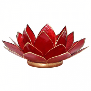 Lotus Atmospheric Light Red 1st Chakra Gold Edge