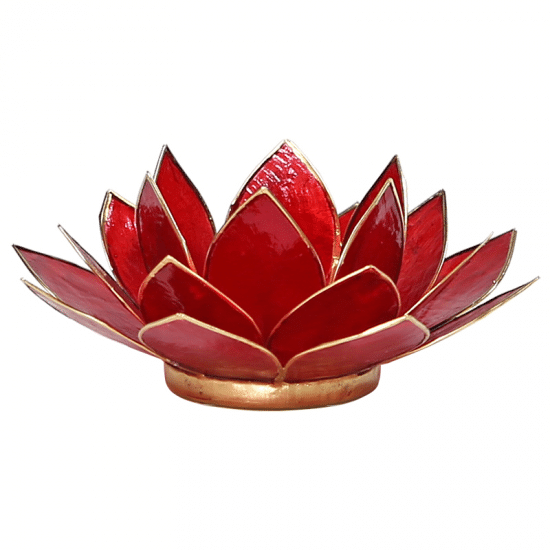 Lotus Atmospheric Light Red 1st Chakra Gold Edge