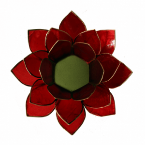 Lotus Atmospheric Light Red 1st Chakra Gold Edge