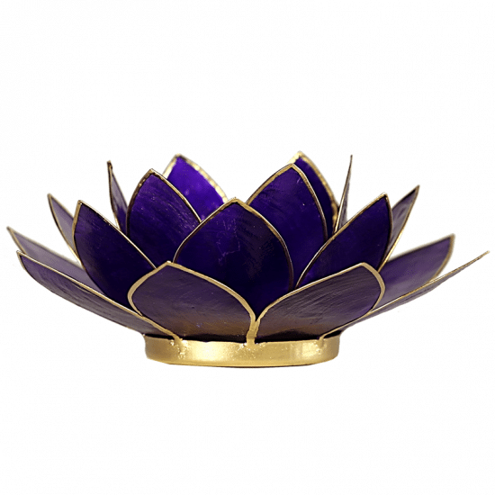 Lotus Atmospheric Light Violet 7th Chakra Gold Edge