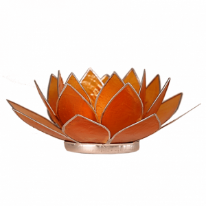 Lotus Atmospheric Light Orange 2nd Chakra Silver Beach