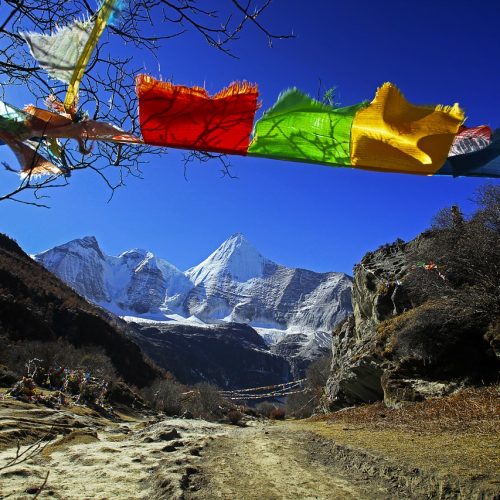 Prayer Flag Facts: Everything You Need to Know!