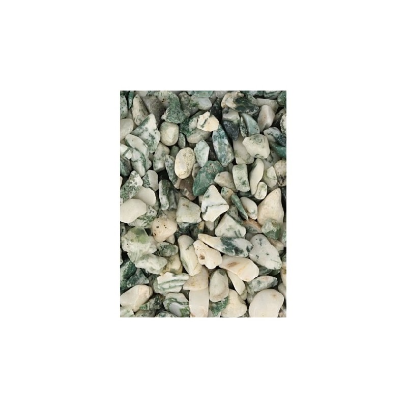 Tumbled Stones Tree Agate(5-10 mm)