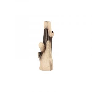 Fossil Bamboo shoot Petrified (Model)
