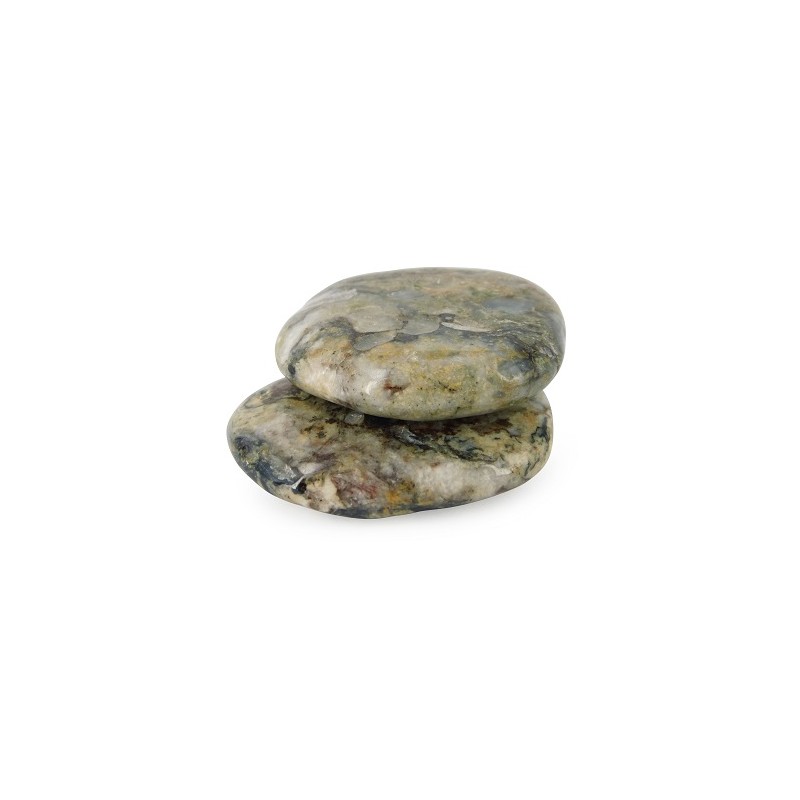 Worry Stone Fossil Stone