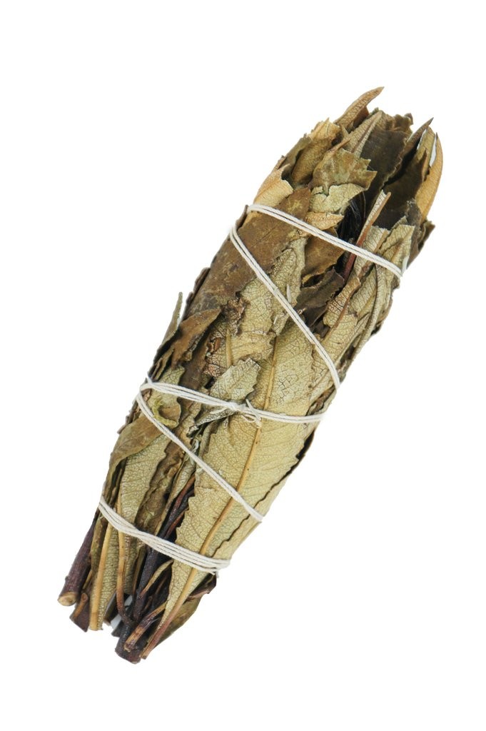 Yerba Santa Smudge (10 cm)