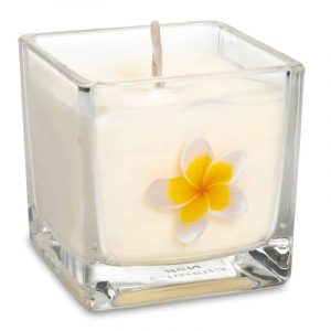 Rapeseed Wax Ecological Scented Candle Nag Champa