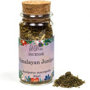 Incense spice juniper berries Himalayas