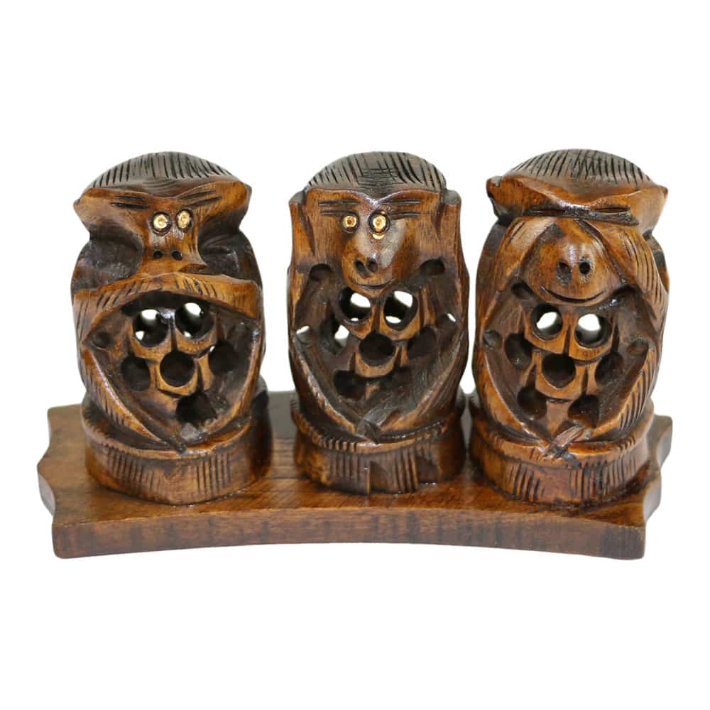 Monkeys Hear, See and Speak No Evil