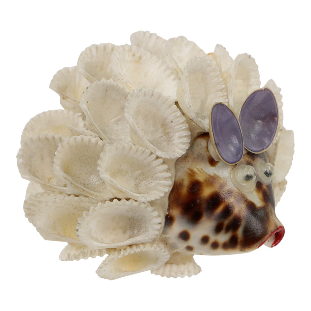 Hedgehog Shells White