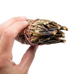 Yerba Santa Smudge (12 cm)