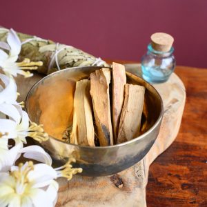 Palo Santo Holy Wood Sticks 40gr