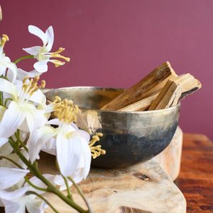 Palo Santo Holy Wood Sticks 40gr