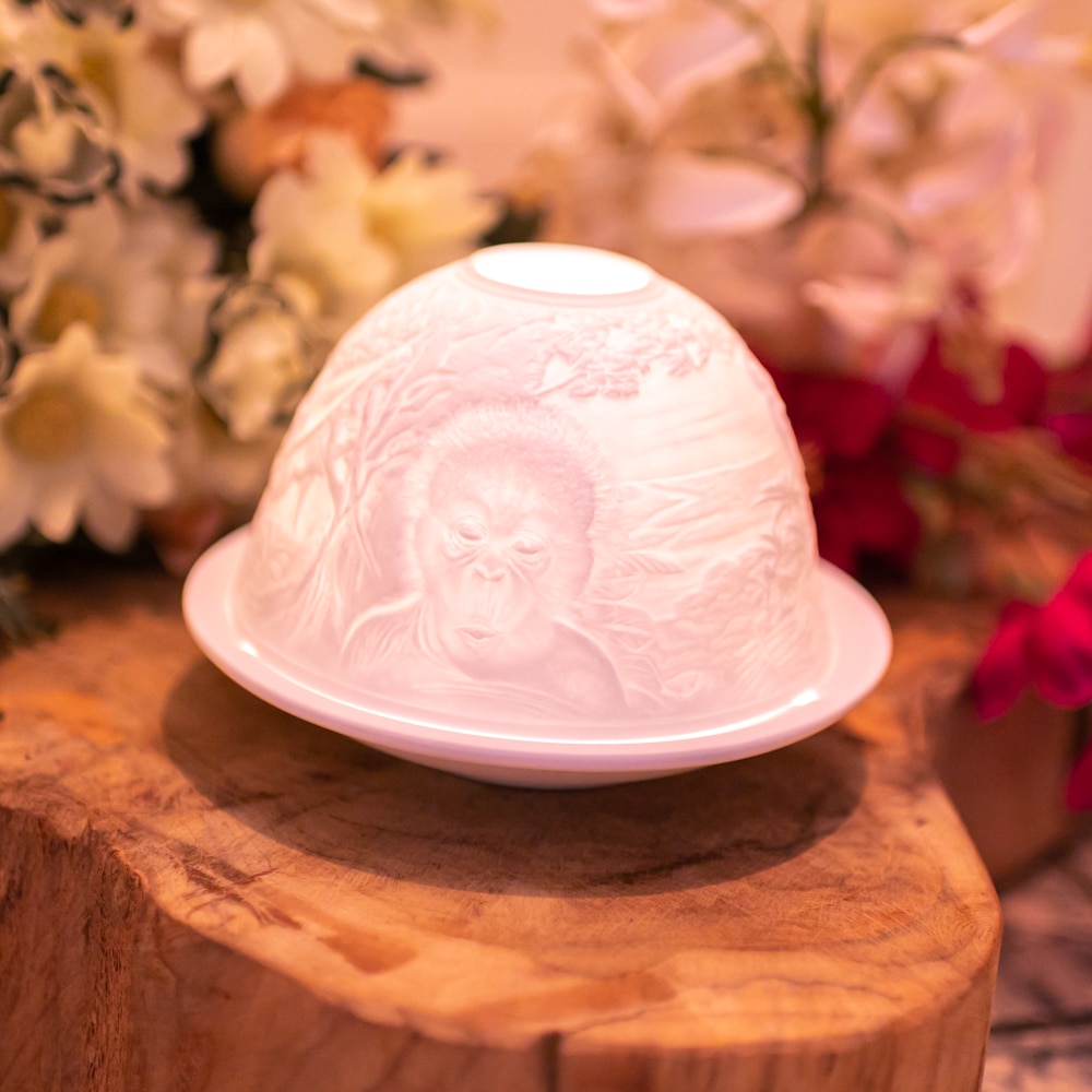 Porcelain Mood Light Orang Utan