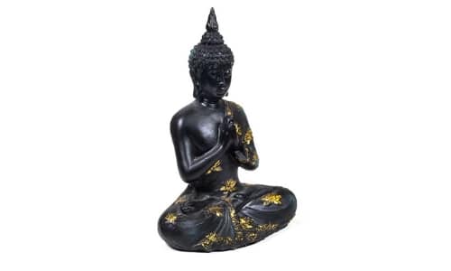 Praying Buddha