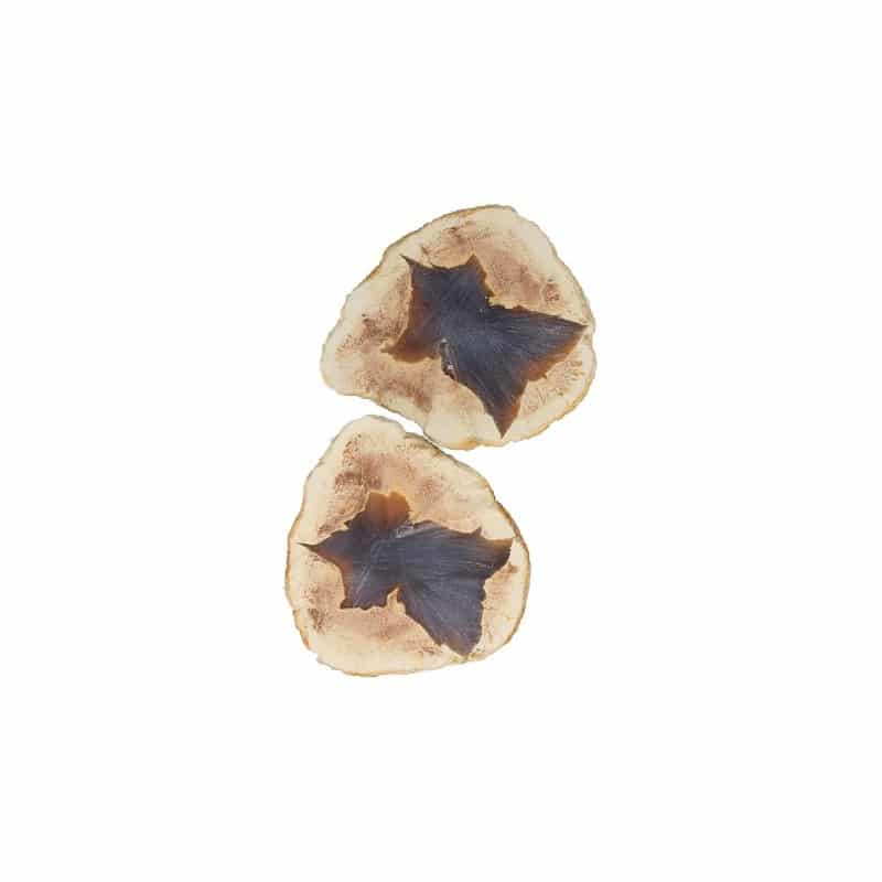 Star Agate Australia (Set of 2)