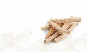 Palo Santo