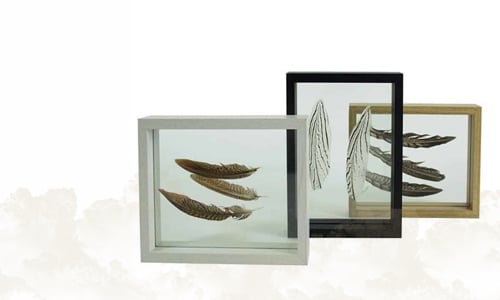 Picture Frames