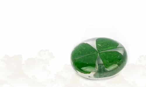Four Leaf Clovers