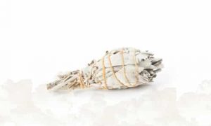 Smudge Sticks