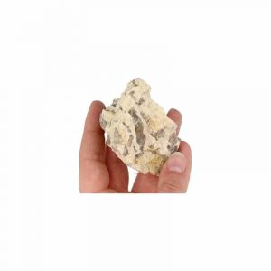 Raw Gemstone Zebradorite (120 - 160 grams)