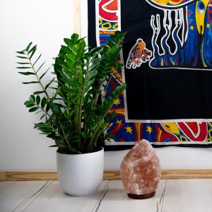 Tapestry Spiritual Cotton Mushroom with Frogs Authentic (215 x 135 cm)