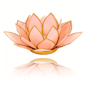 Lotus Atmospheric Light Pastel Pink Gold Edge