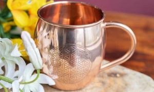 Copper Cup