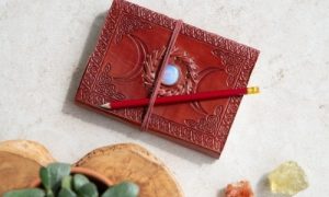 Diaries