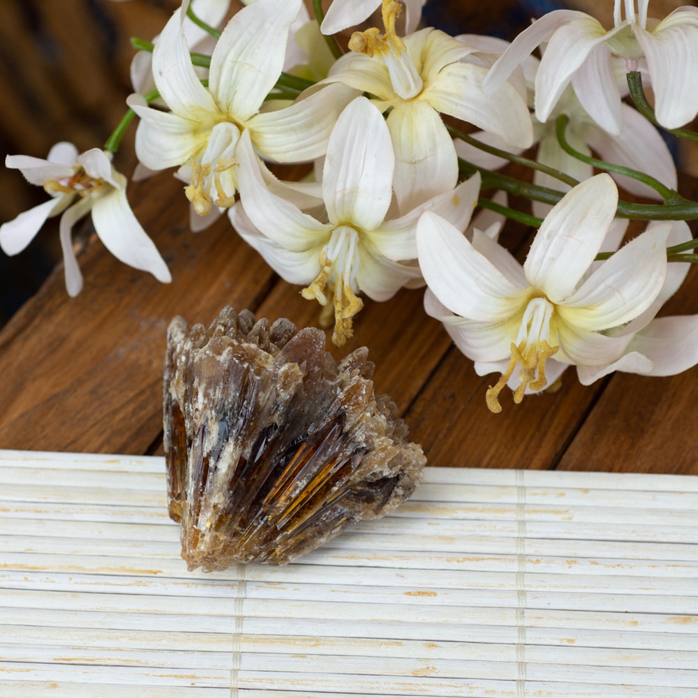 raw amber cluster with orchids