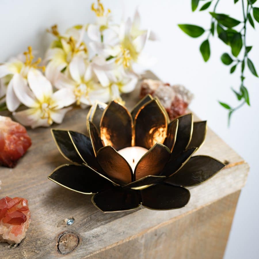 black lotus mood light