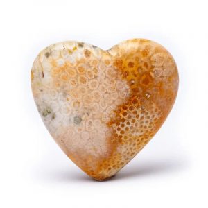 Heart Worry Stone Coral Fossil - 5 cm