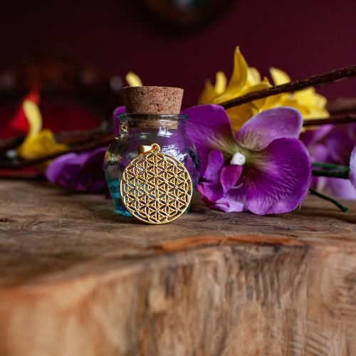 Flower of Life: Sacred Geometry and the Mysteries of the Universe