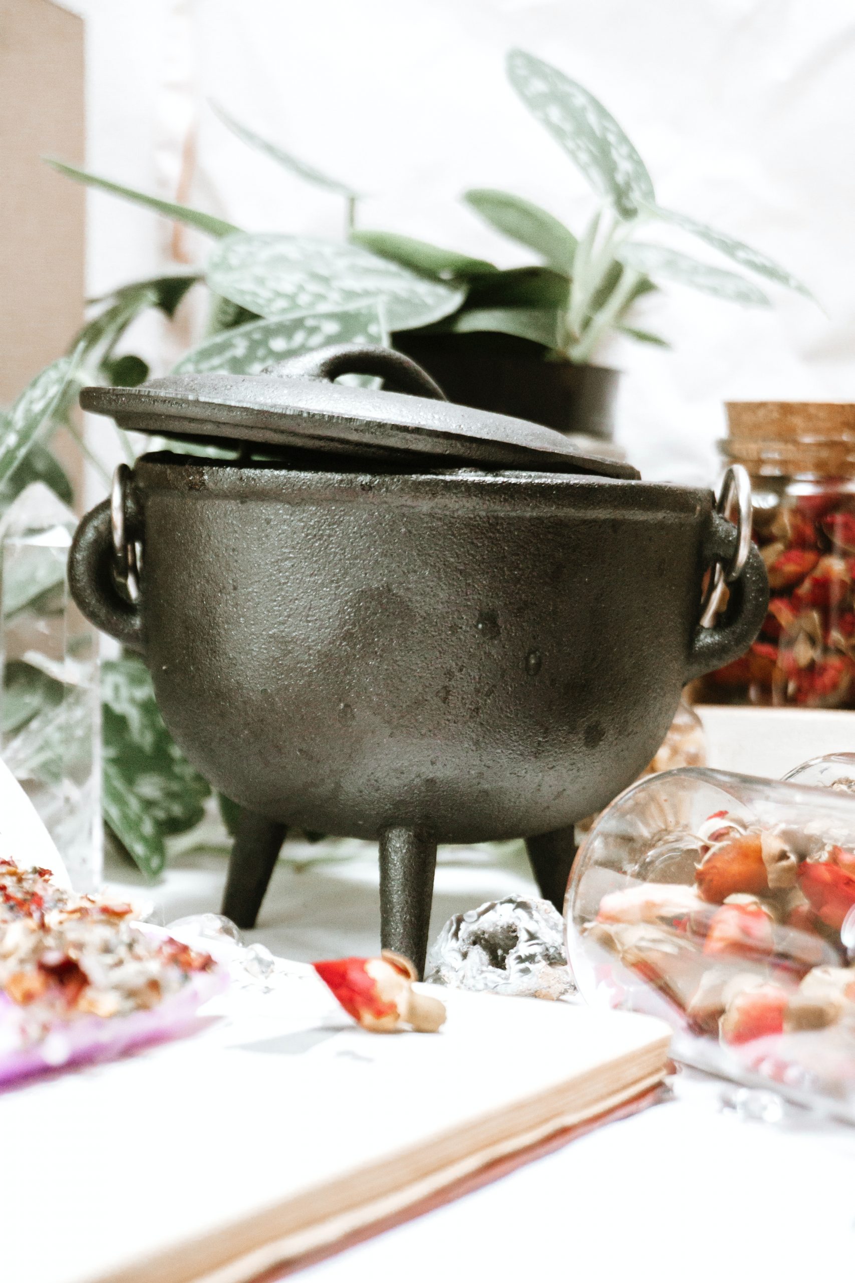 witches cauldron with plants