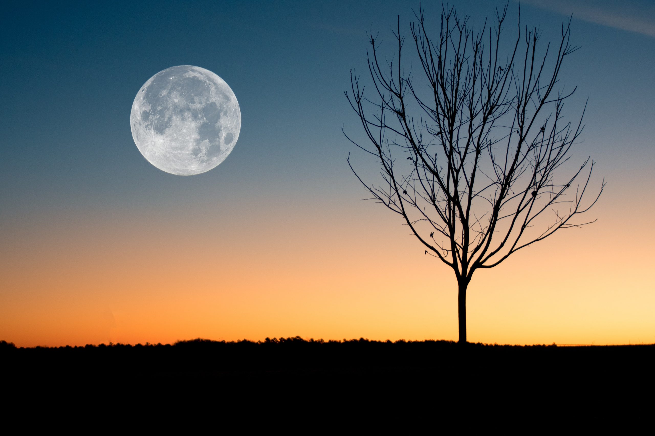 full moon at twilight