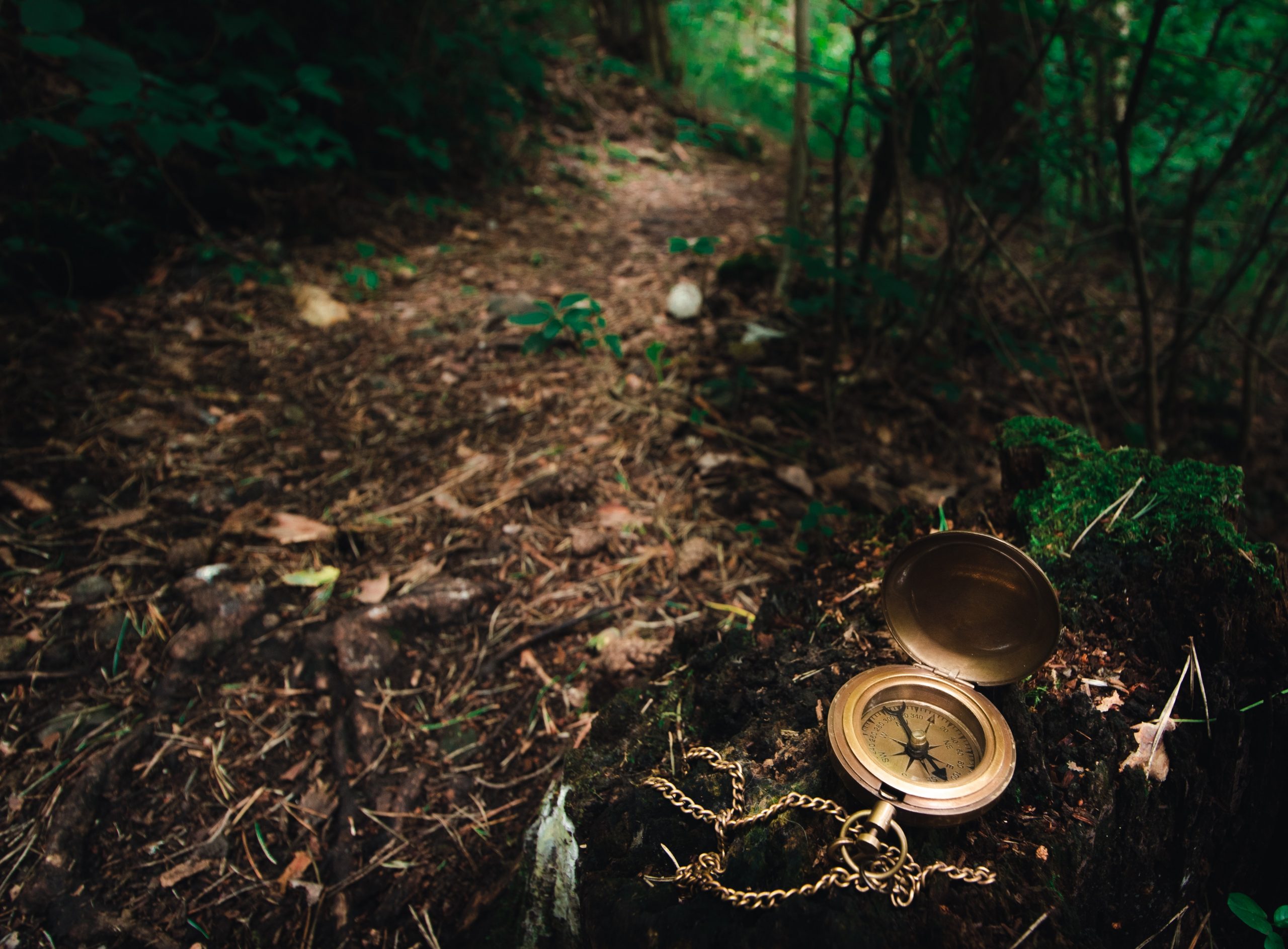 compass in the woods