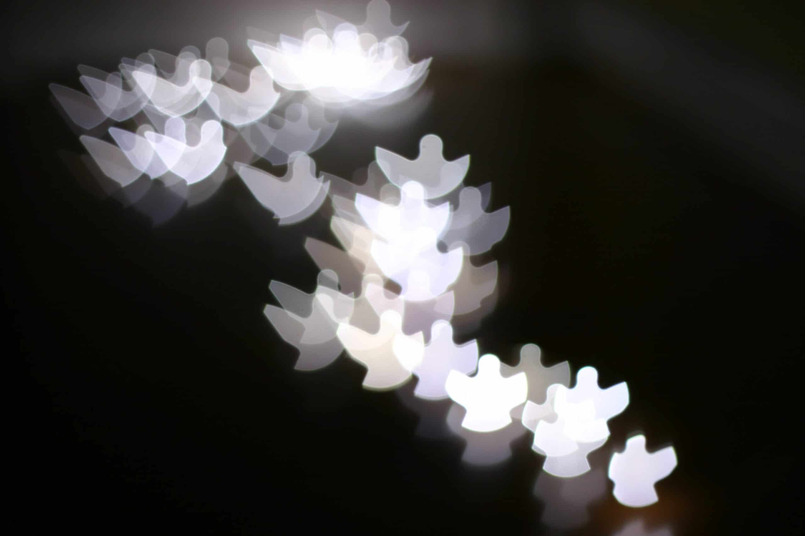 angel lights