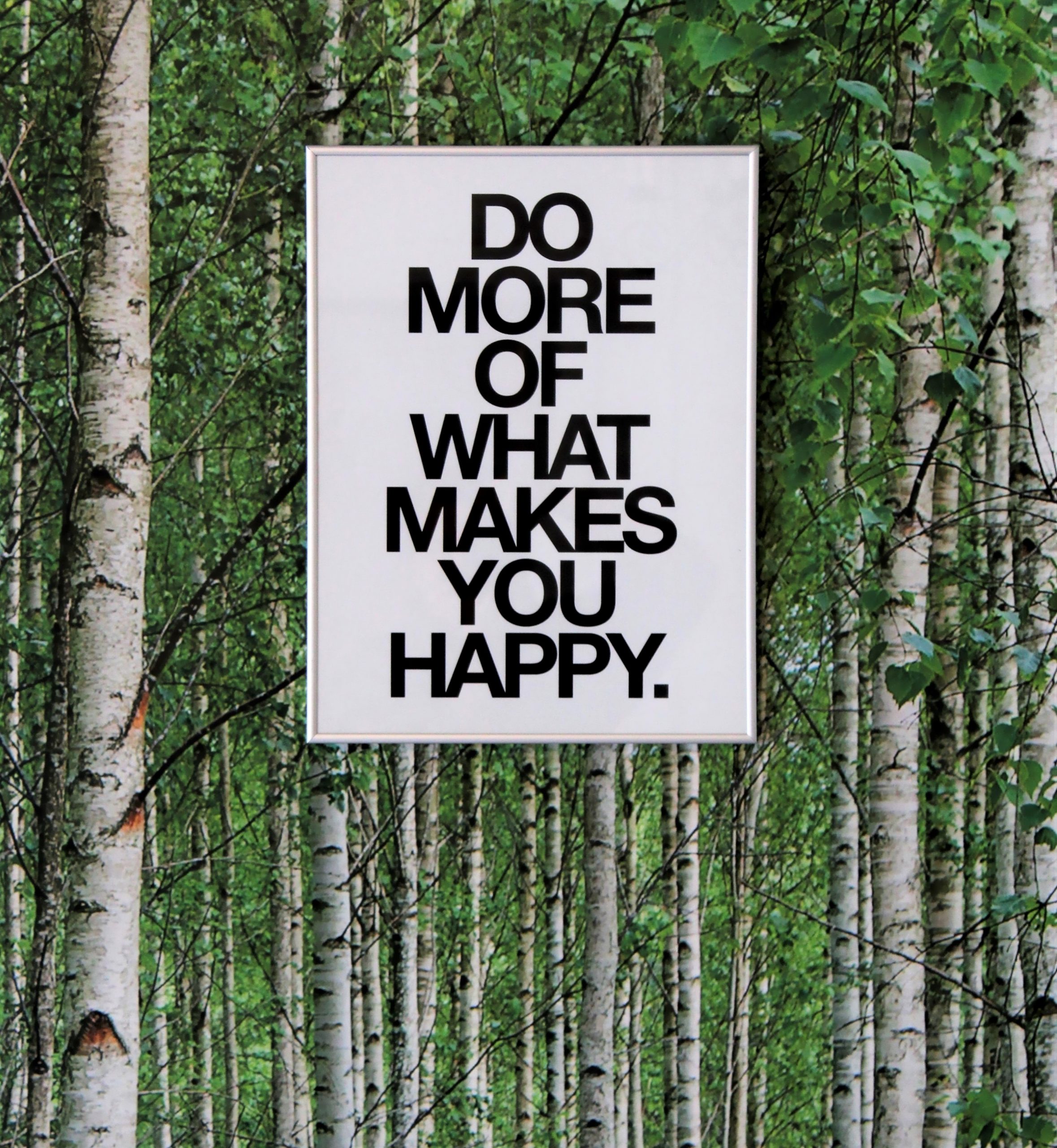 white birch trees happy sign
