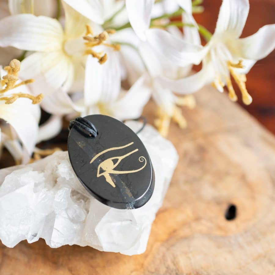 shungite pendant with eye of horis