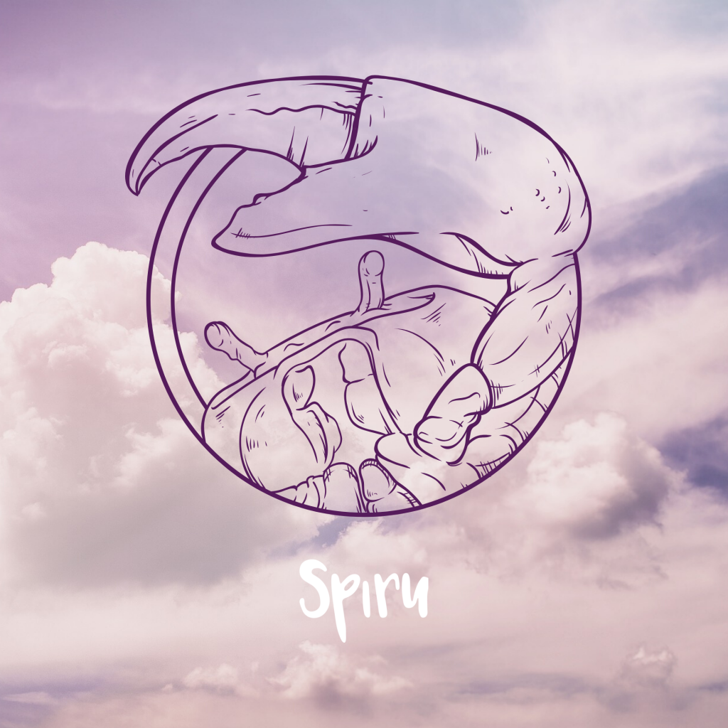 cancer zodiac symbol spiru