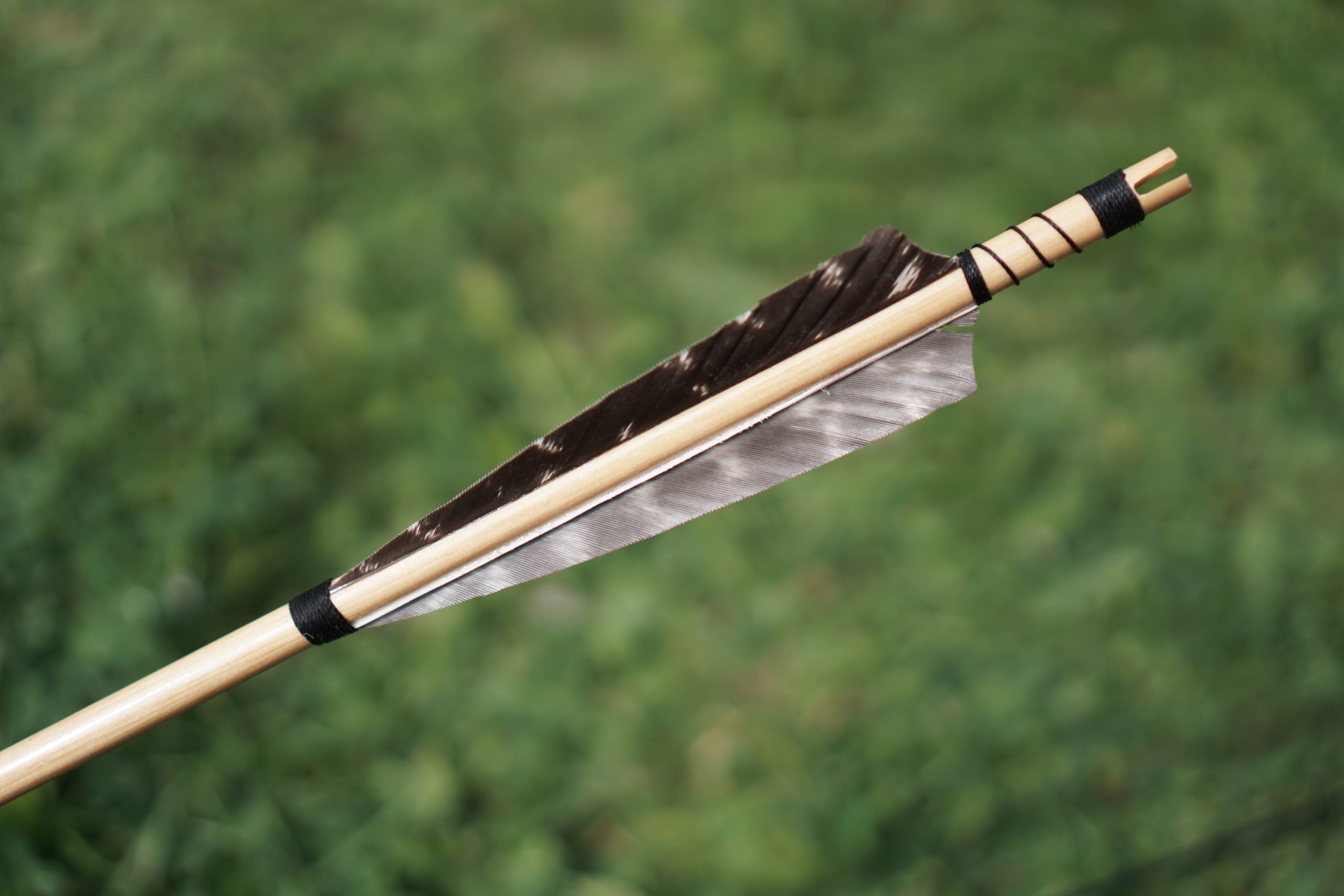 arrow brown feathers