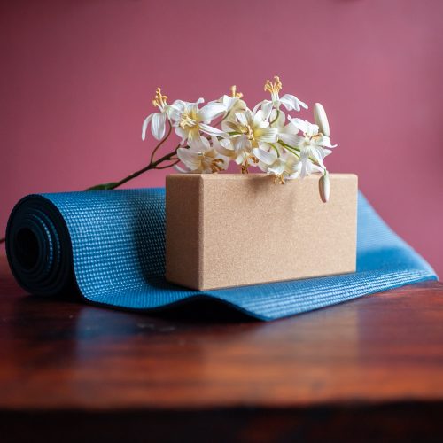 Difference Between Yoga and Pilates – It’s More than You Think!