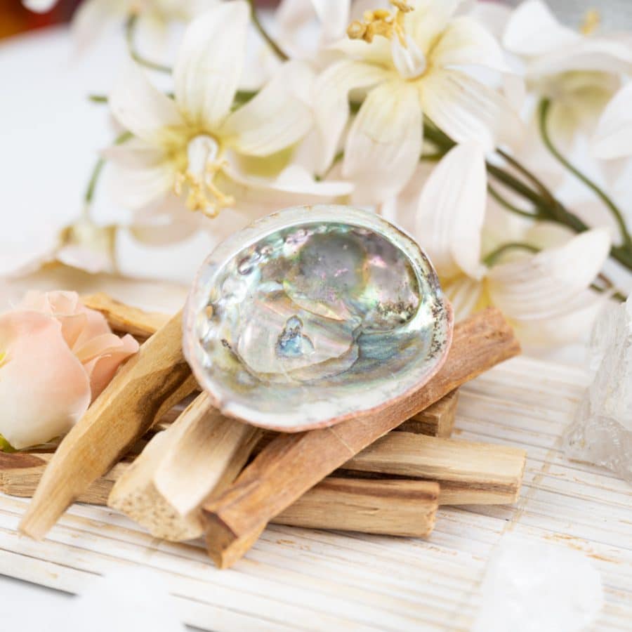 palo santo stick with abalone shell