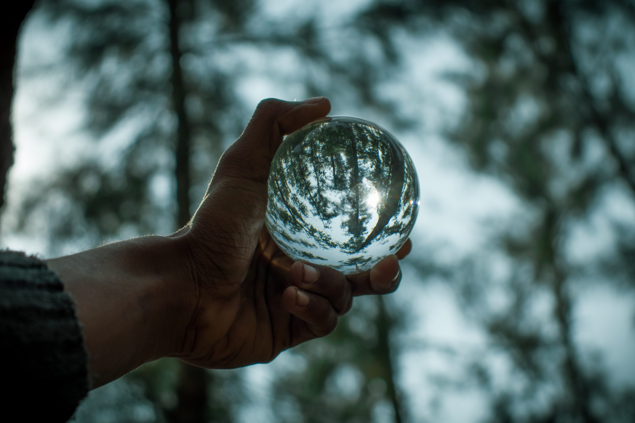 glass ball trees