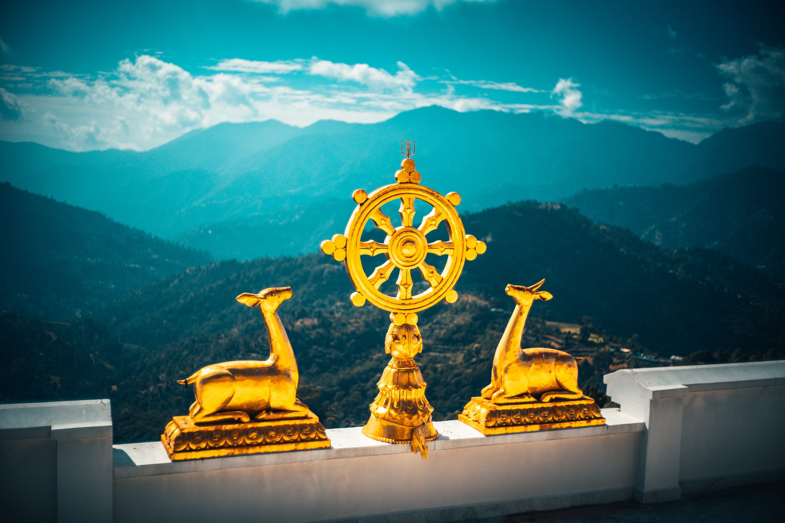 eight fold path buddhist wheel symbol with deer