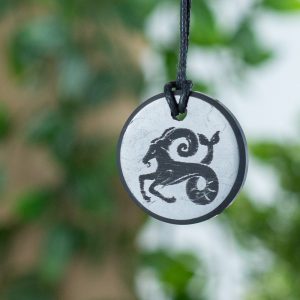 Shungite Horoscope Pendant Capricorn (30 mm)