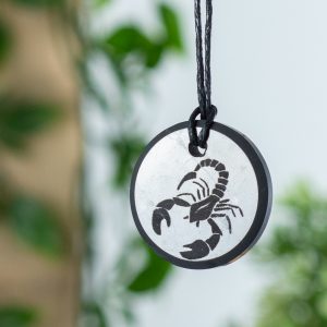 Shungite Horoscope Pendant Scorpio (30 mm)